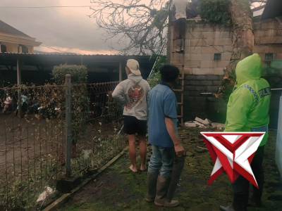 TKP pohon tumbang di desa Ngabab kec. Pujon