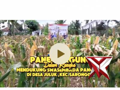 Panen raya jagung - PoliceTube