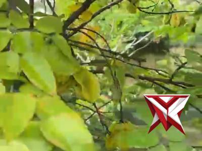 Gerakan Indonesia ASRI Kurve Mako Polres Magetan ? Dalam rangka mendukung program Gerakan Indonesi - PoliceTube