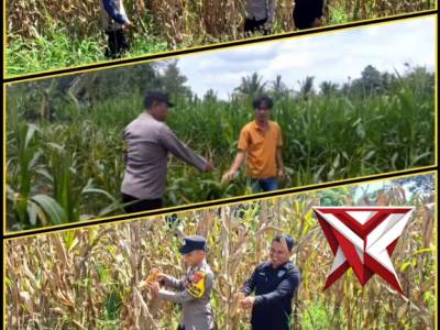 BHABINKAMTIBMAS POLSEK MARTAPURA SEMANGAT DUKUNG KETAHANAN PANGAN BERSAMA WARGA DI DESA BINAAN - PoliceTube