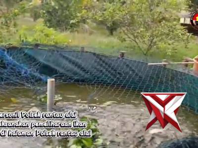 Pemeliharaan ikan - PoliceTube