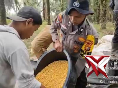 Ketahanan pangan - PoliceTube