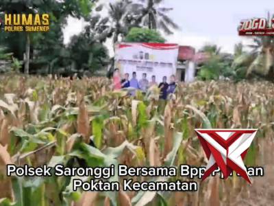 Panen jagung raya - PoliceTube