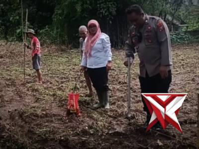 PENANAMAN JAGUNG BERSAMA PPL CURAHDAMI - PoliceTube