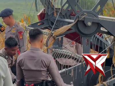 Panen jagung, ketahan pangan nasional - PoliceTube