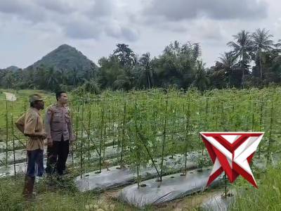 Kegiatan tahan pangan di desa binaan - PoliceTube