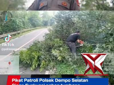 Polsekdemposelatan - PoliceTube
