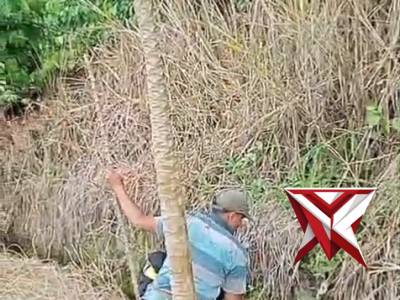 KORVE SINERGITAS - PoliceTube