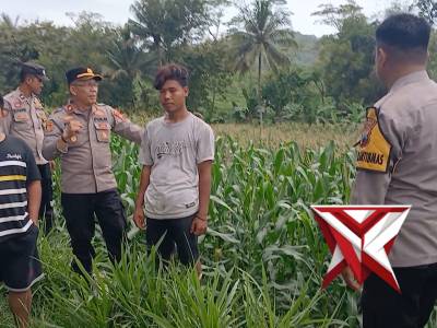 Program Penanaman Jagung - PoliceTube