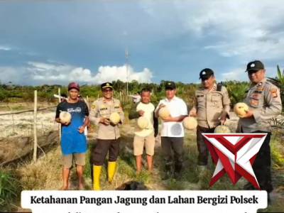 Penanaman jagung - PoliceTube