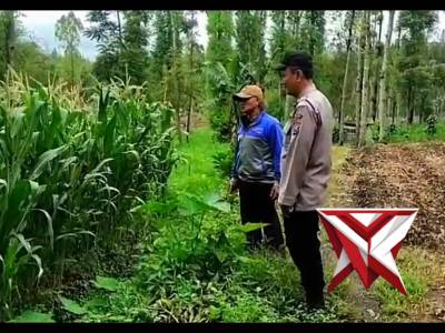 Giat bhabinkamtibmas desa Pandesari - PoliceTube