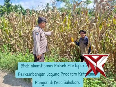 ketahanan pangan - PoliceTube