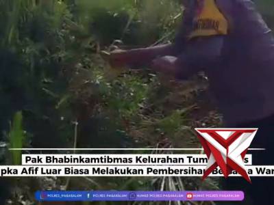 Persiapan tanam jagung - PoliceTube