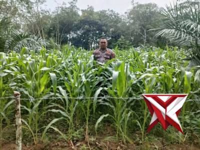 Polsek Mesuji Makmur - PoliceTube