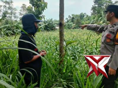 Sambang Petani - PoliceTube