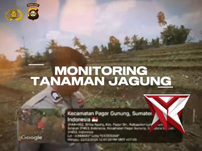 Monitoring tanaman jagung