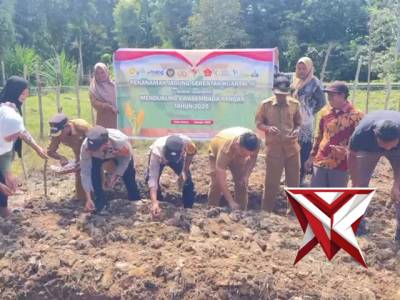 Melaksanakan penanaman jagung - PoliceTube