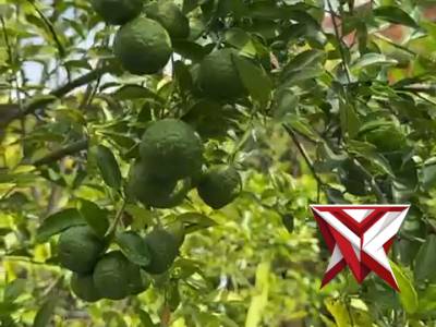 Gerakan Indonesia ASRI Kurve Mako Polres Magetan ? Dalam rangka mendukung program Gerakan Indonesi - PoliceTube