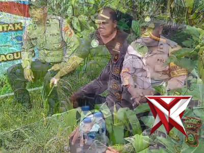 Polsek Sukasada Ikuti Live Streaming Penanaman Jagung Serentak