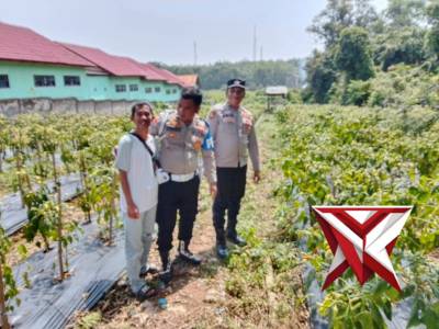 Ketahanan pangan  polsek pampangan