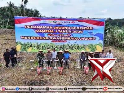 Penanaman Jagung Serentak Kuartal 1 Tahun 2026 Dalam Rangka Mendukung Swasembada Jagung.
