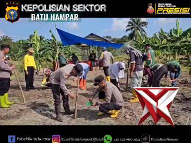 penanaman jagung serentak kuartal 1 tahun 2026 oleh polsek batu hampar