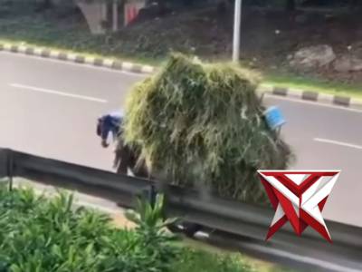 Aksi anggota polisi membantu mendorong gerobak rumput milik seorang bapak tua yang kelelahan