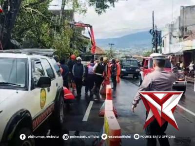 ? Sigap Tangani Pohon Tumbang, Arus Lalu Lintas Tetap Lancar