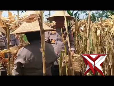 Ketahanan Pangan - PoliceTube