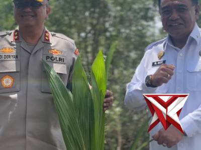 PENANAMAN KELAPA KAPOLDA SULBAR