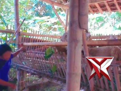 KETAHANAN PANGAN - PoliceTube