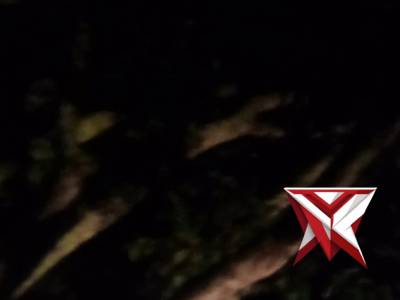 TKP awal pohon tumbang