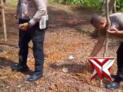 *Manfaatkan Lahan Polri yang kosong, Personel Polsek Teluk Segara Laksanakan Tanam jagung serentak K