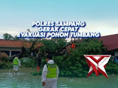 POLRES SAMPANG GERAK CEPAT EVAKUASI POHON TUMBANG
