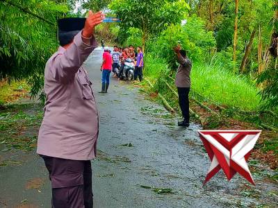 Polsek pujon melaksanakan pembersihan ranting akibat pohon tumbang