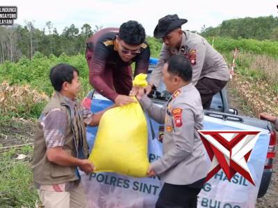 Panen Raya Jagung Serentak Kuartal IV Tahun 2025