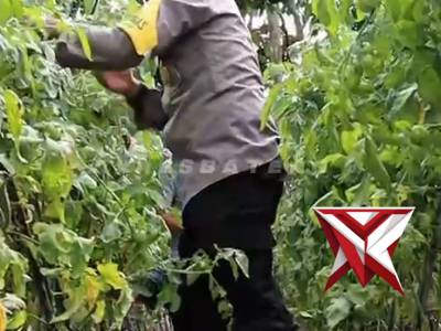 KISAH INSPIRATIF BHABIN ARUNG DALAM