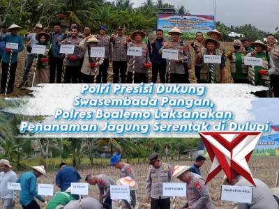 Polri Presisi Dukung Swasembada Pangan, Polres Boalemo Laksanakan Penanaman Jagung Serentak di Dulup