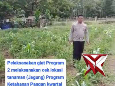 Ketahanan pangan polsek Pampangan OKI