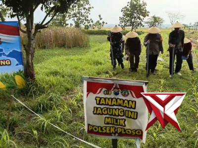 Penanaman Jagung Serentak Kuartal 1 Tahun 2026 dalam Rangka Mendukung Swasembada Jagung