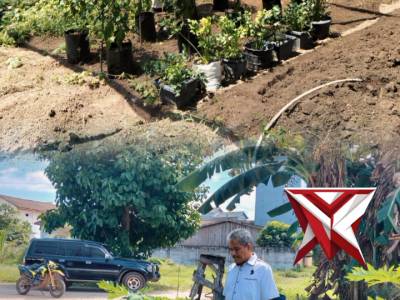 Pers Polsek Jejawi cek ketahanan Pangan perkarangan tanaman Cabe di Desa Air Itam OKI