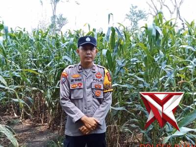 Giat Bhabinkamtibmas Polsek Buay Pemaca