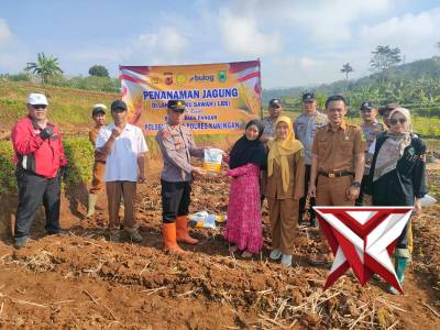 MONITORING PENANAMAN JAGUNG DI LAHAN BAKU SAWAH (LBS)