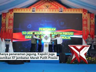 upaya memperkuat ketahanan pangan nasional kabupaten ogan ilir