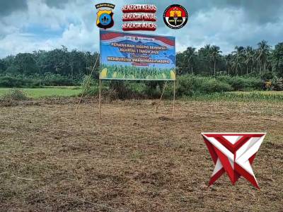 Penanaman Jagung Serentak Kuartal I Tahun 2026 di HST