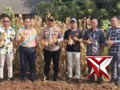 KAPOLSEK CIBEBER PIMPIN LANGSUNG PELAKSAAN PANEN RAYA