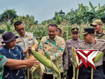 PANEN RAYA JAGUNG SERENTAK KUARTAL I TAHUN 2026