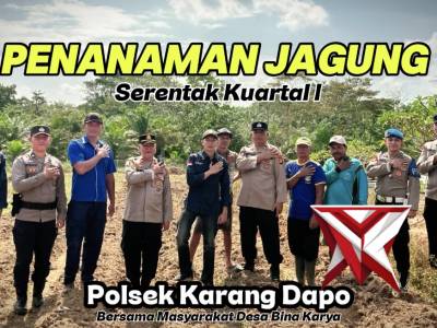 Penanaman Jagung Serentak Kuartal I